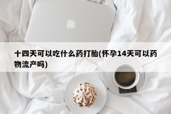 米非米索在线购微信十四天可以吃什么药打胎(怀孕14天可以药物流产吗)